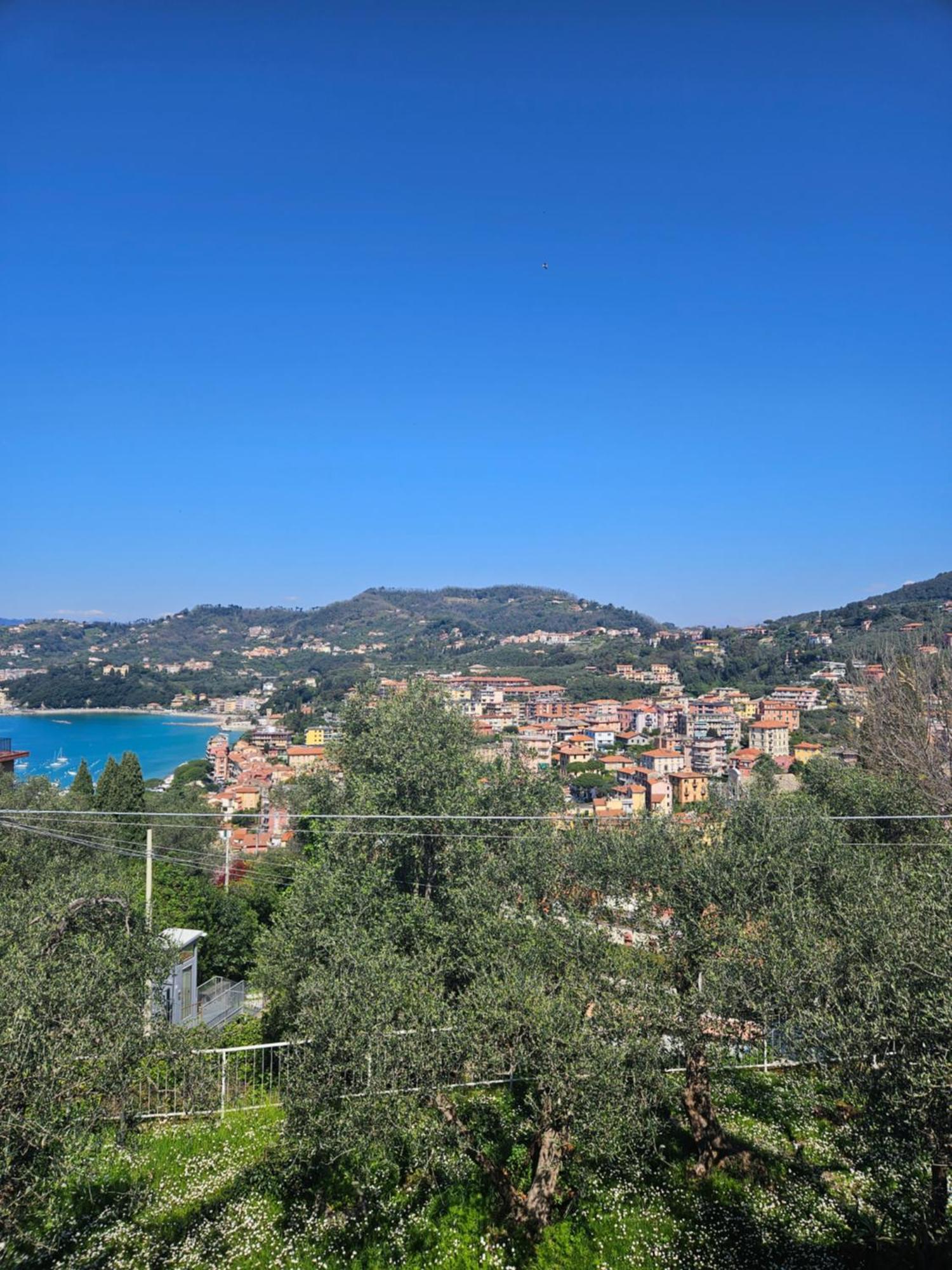 Villa Degli Ulivi - Free Parking Lerici Zewnętrze zdjęcie